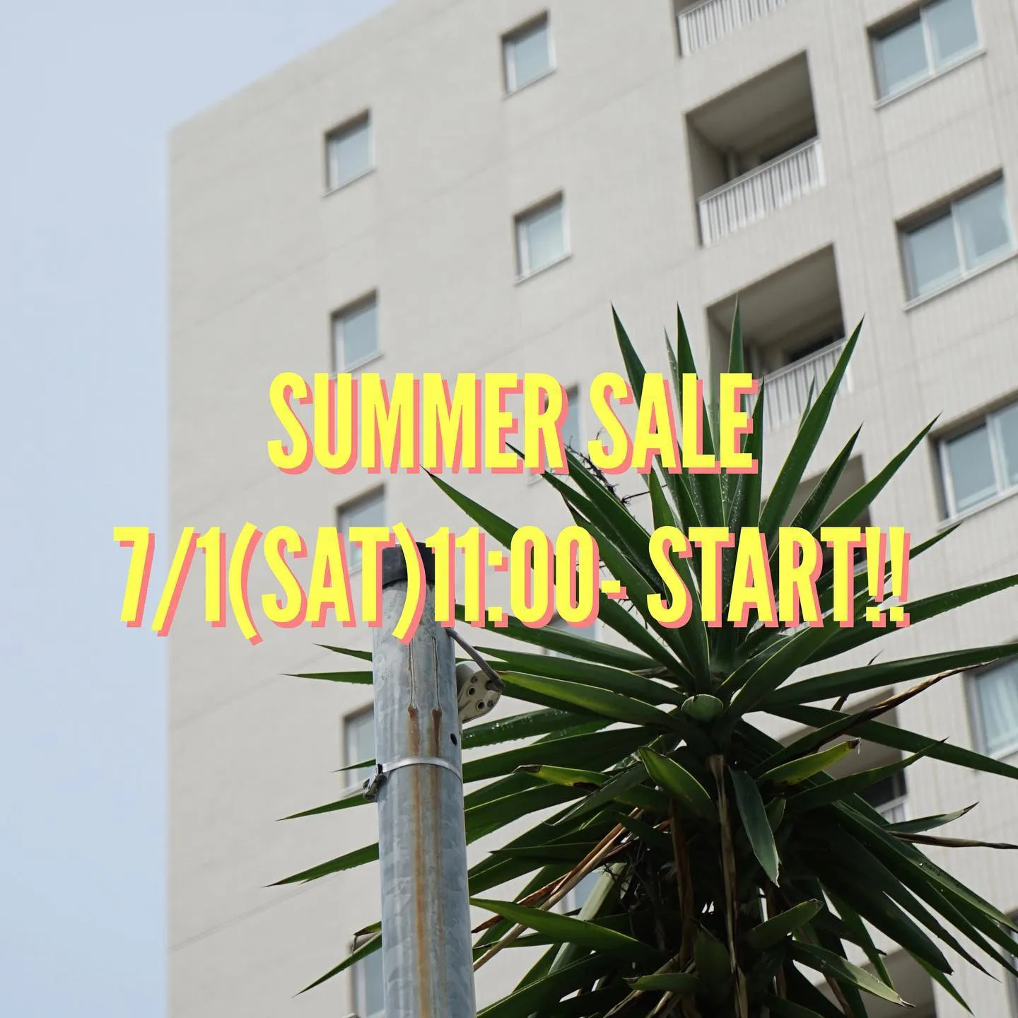 SUMMER SALE is coming🌻